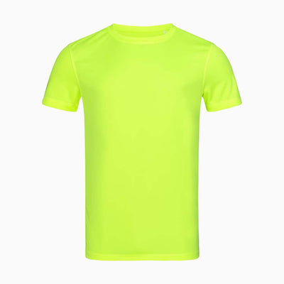 Mesh-T